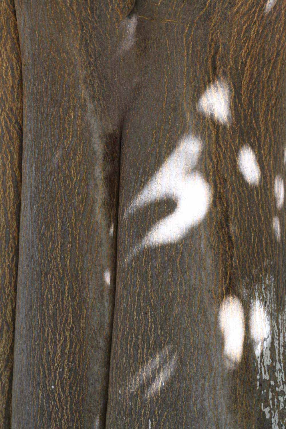            Bark (Riverside, CA)   